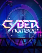 Cyber Numbers