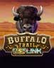 Buffalo Trail Cash Mesh LINK
