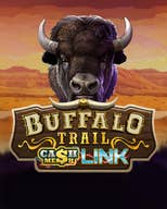 Buffalo Trail Cash Mesh LINK