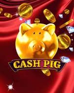 Cash Pig