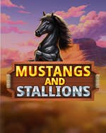 Mustangs and Stallions