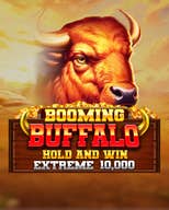 Buffalo Hold and Win Extreme: 10,000