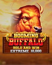 Buffalo Hold and Win Extreme: 10,000