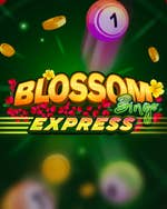 Blossom Bingo Express