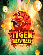 Tiger Express