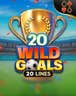 20 Wild Goals