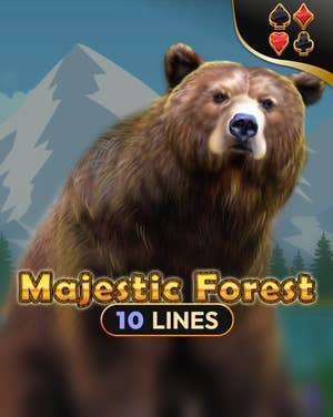 Majestic Forest