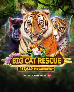 Big Cat Rescue Megaways