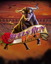Bulls Run Wild