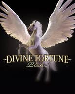 Divine Fortune Black
