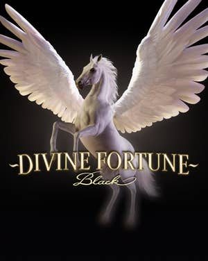 Divine Fortune Black