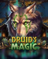 Druid's Magic