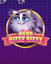 Here Kitty Kitty