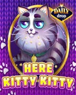 Here Kitty Kitty