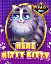 Here Kitty Kitty
