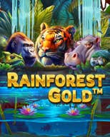 Rainforest Gold