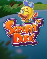 Scruffy Duck