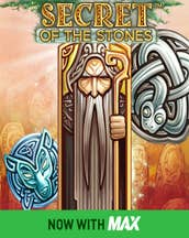 Secret of the Stones Max