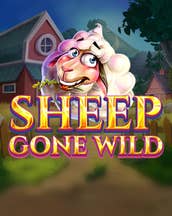 Sheep Gone Wild