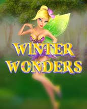 Winter Wonders