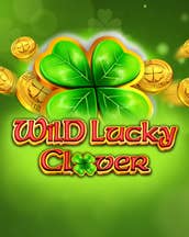 Wild Lucky Clover