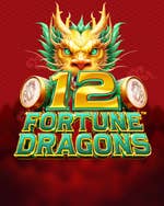 12 Fortune Dragons