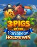 3 Pigs Of The Caribbean