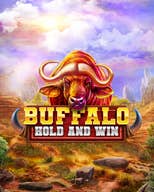 Buffalo Hold and Win
