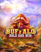 Buffalo Hold and Win