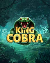 King Cobra