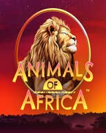 Animals of Africa