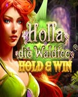 Holla Die Waldfee Hold and Win