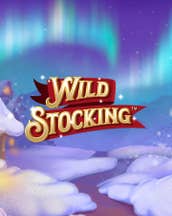 Wild Stocking