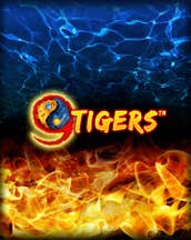 9 Tigers