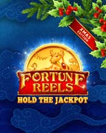 Fortune Reels Xmas Edition
