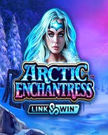 Arctic Enchantress