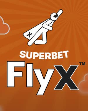 FlyX