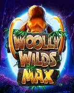 Woolly Wilds MAX