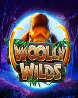 Woolly Wilds