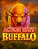 Action Ways Buffalo