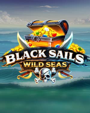 Black Sails Wild Seas
