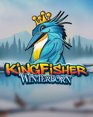 Kingfisher Winterborn