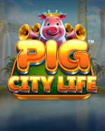 Pig City Life