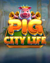 Pig City Life