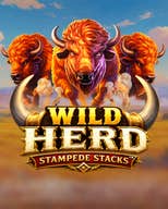 Wild Herd Stampede Stacks