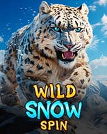 Wild Snow Spin