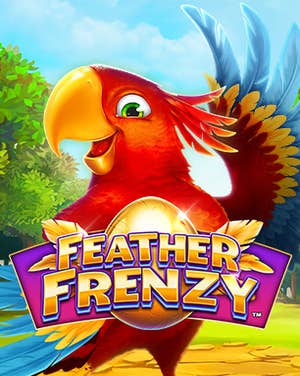 Feather Frenzy
