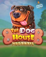 The Dog House Megaways