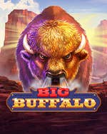 Big Buffalo