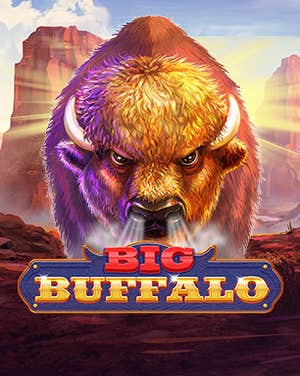 Big Buffalo